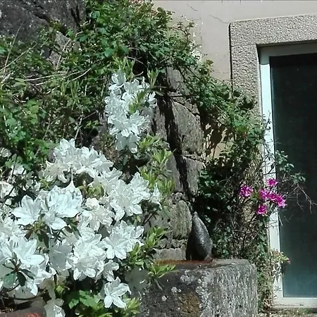 Aveleda Village Lousada