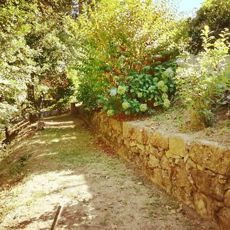 Aveleda Village Guest house Lousada